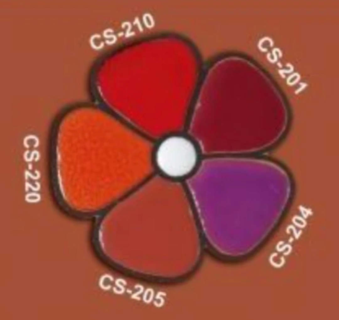 CS 204 LILÁS