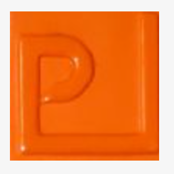 ENSP 05 LARANJA