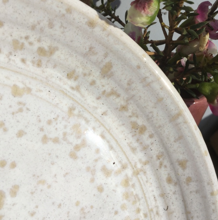 9531 PRADO DE INVERNO