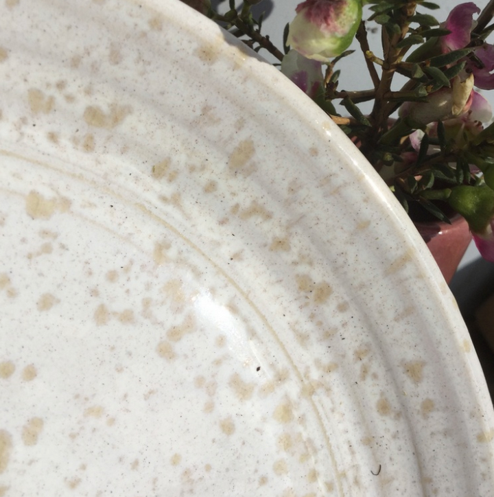 9531 PRADO DE INVERNO