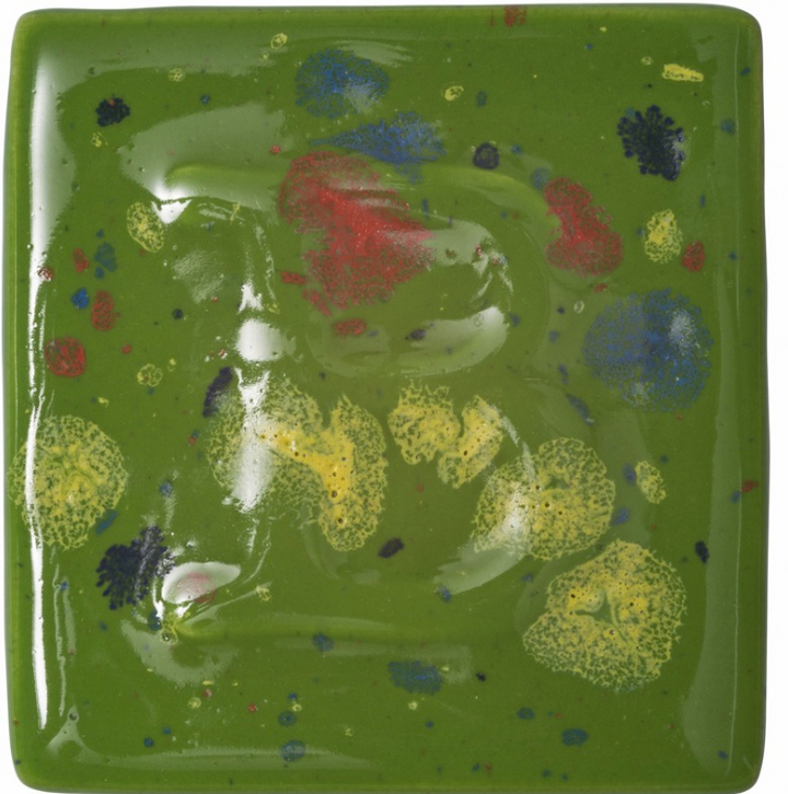 9595 FLORESTA