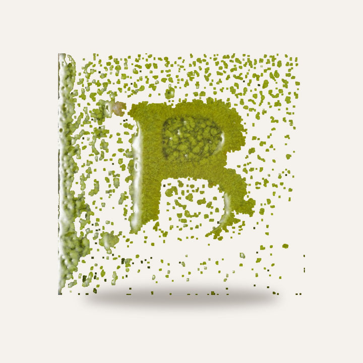 9597 VERDE TEXTURA — amostra cozida