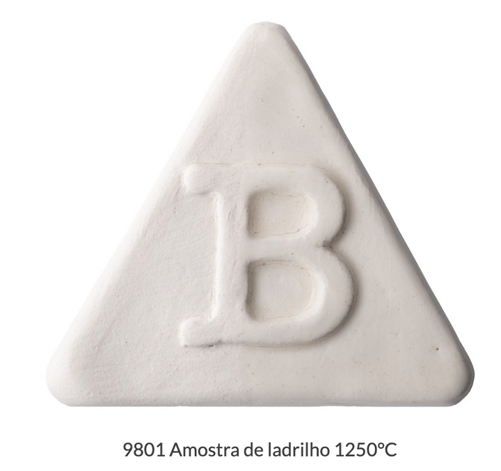 9801 ENGOBE ALTA BRANCO