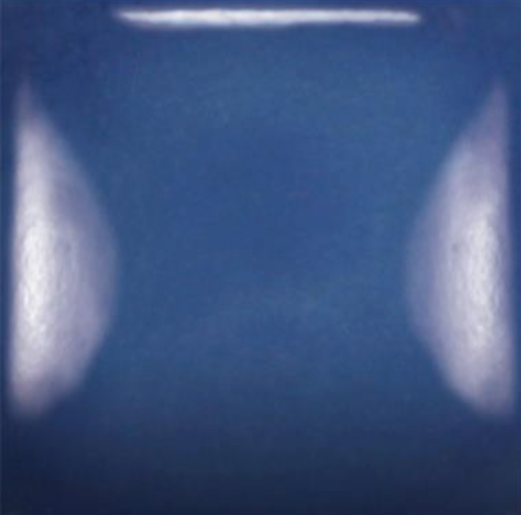 SC-31 THE BLUES