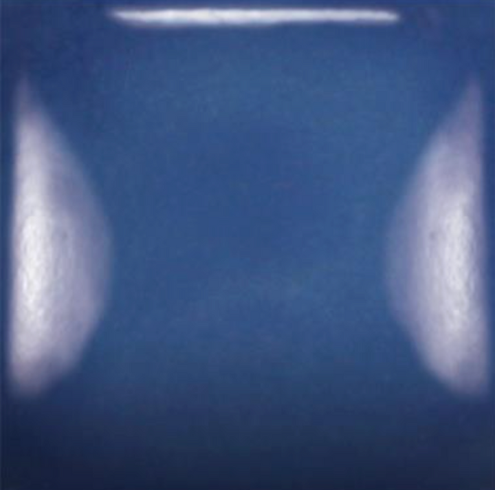 SC-31 THE BLUES
