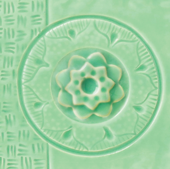 C-24 SUCCULENT | AMACO