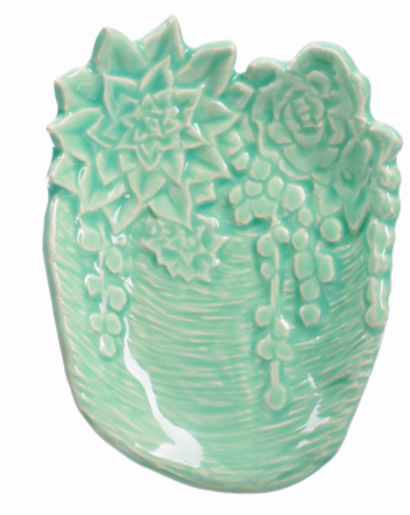 C-24 SUCCULENT | AMACO