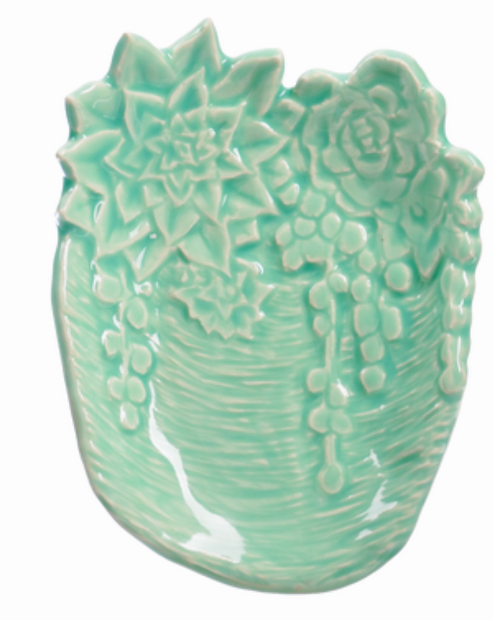 C-24 SUCCULENT | AMACO