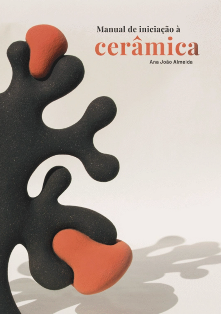 LIVRO MANUAL DE INICIAÇÃO À CERÂMICA