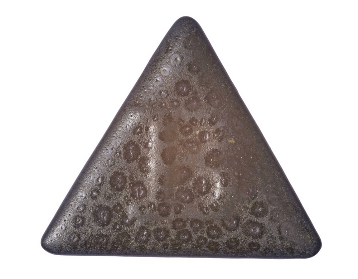 9892 SALAMANDRA