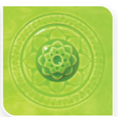 C-43 WASABI | AMACO