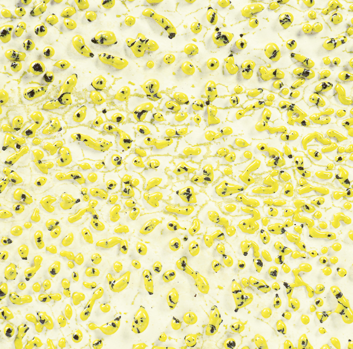 CRAWL- 61 SPECKLED YELLOW CRAWL | AMACO