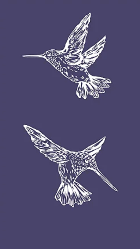 STENCIL PASSAROS 01