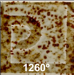 EESP 27 CASTANHO PICAS