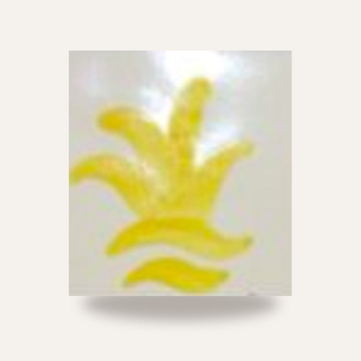 CD 01 AMARELO — amostra cozida