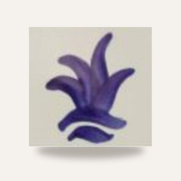 CD 02 COBALTO — amostra cozida