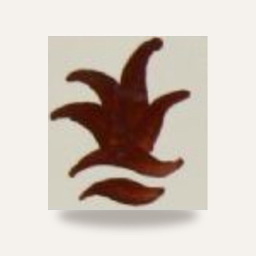 CD 09 CASTANHO — amostra cozida