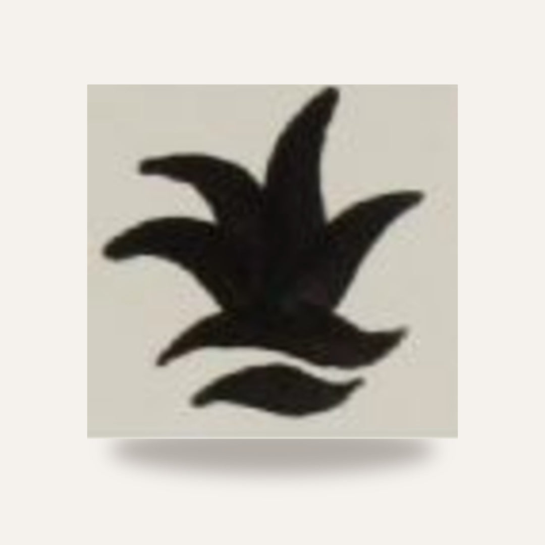 CD 11 NEGRO — amostra cozida