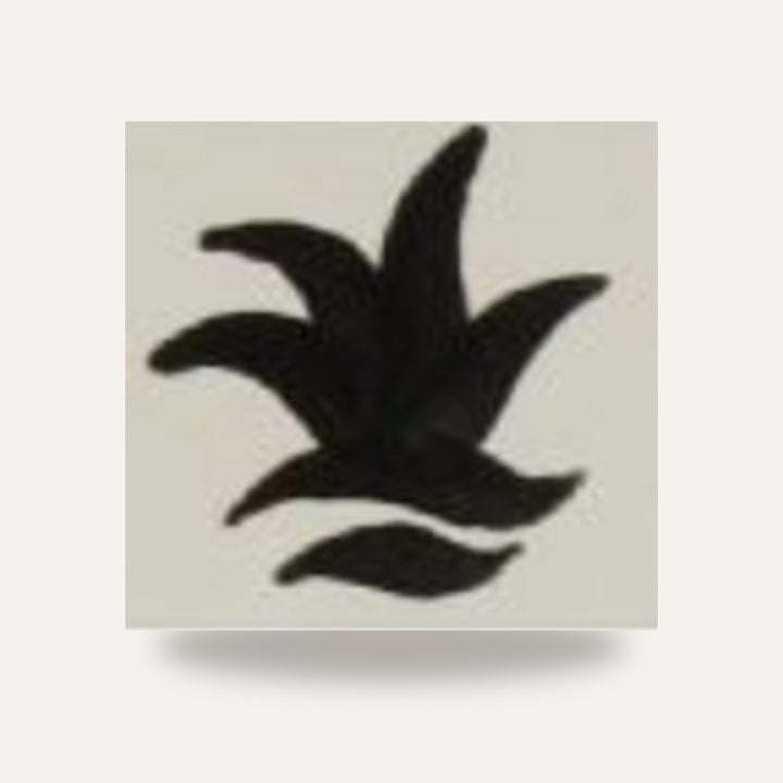 CD 11 NEGRO — amostra cozida
