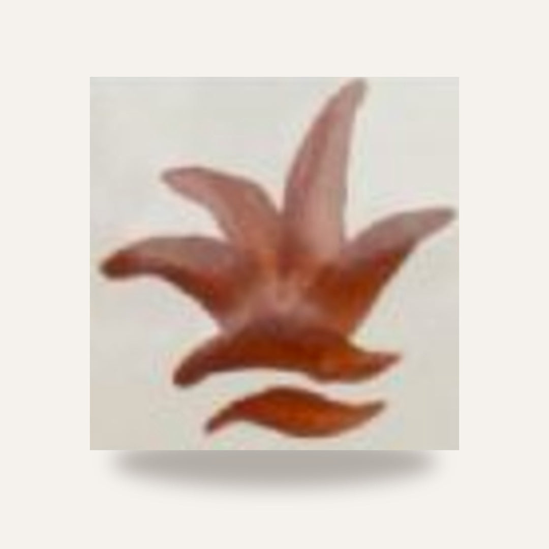 CD 12 OCRE — amostra cozida