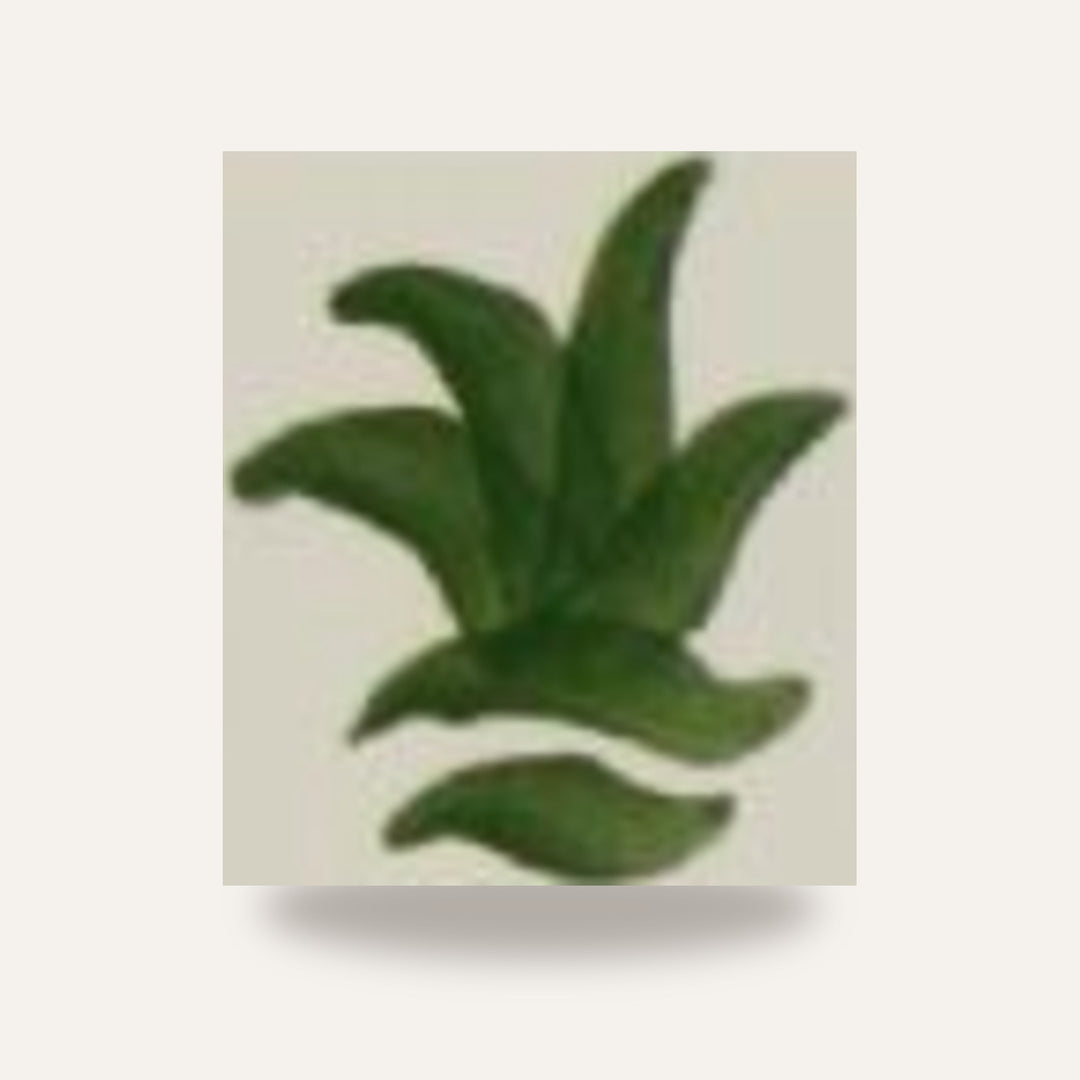 CD 14 VERDE CROMIO — amostra cozida