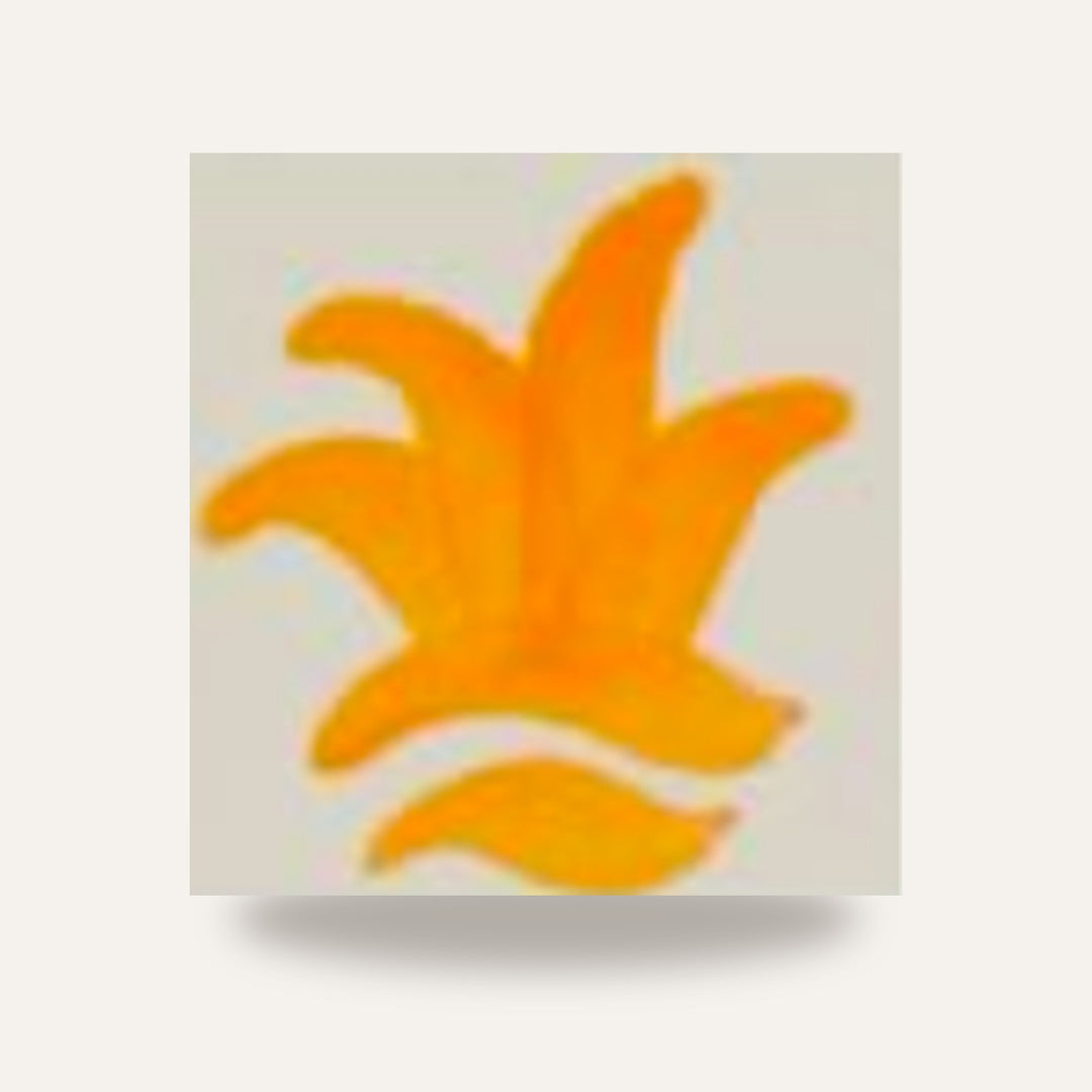 CD 20 MANDARINA — amostra cozida
