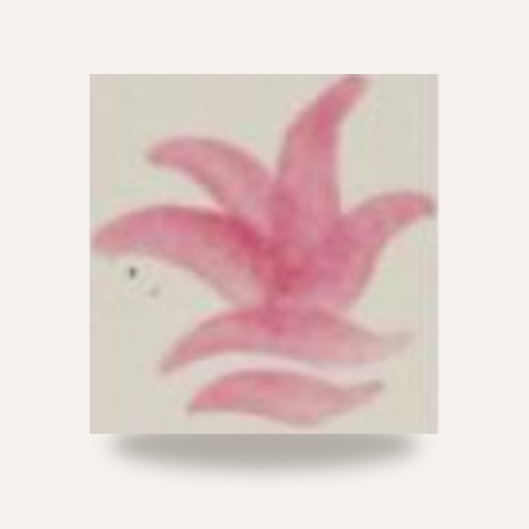 CD 22/N FUCSIA — amostra cozida