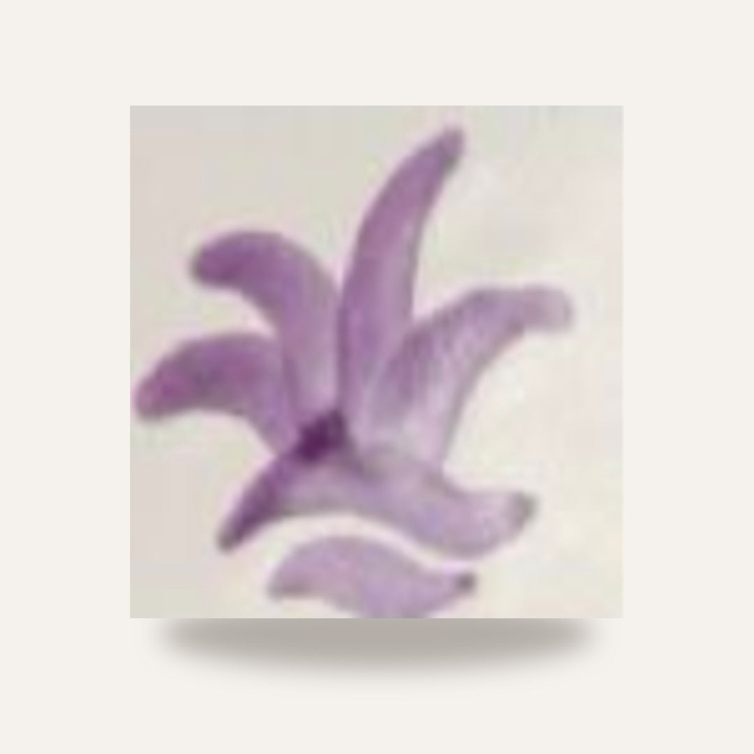 CD 24 ROXO — amostra cozida