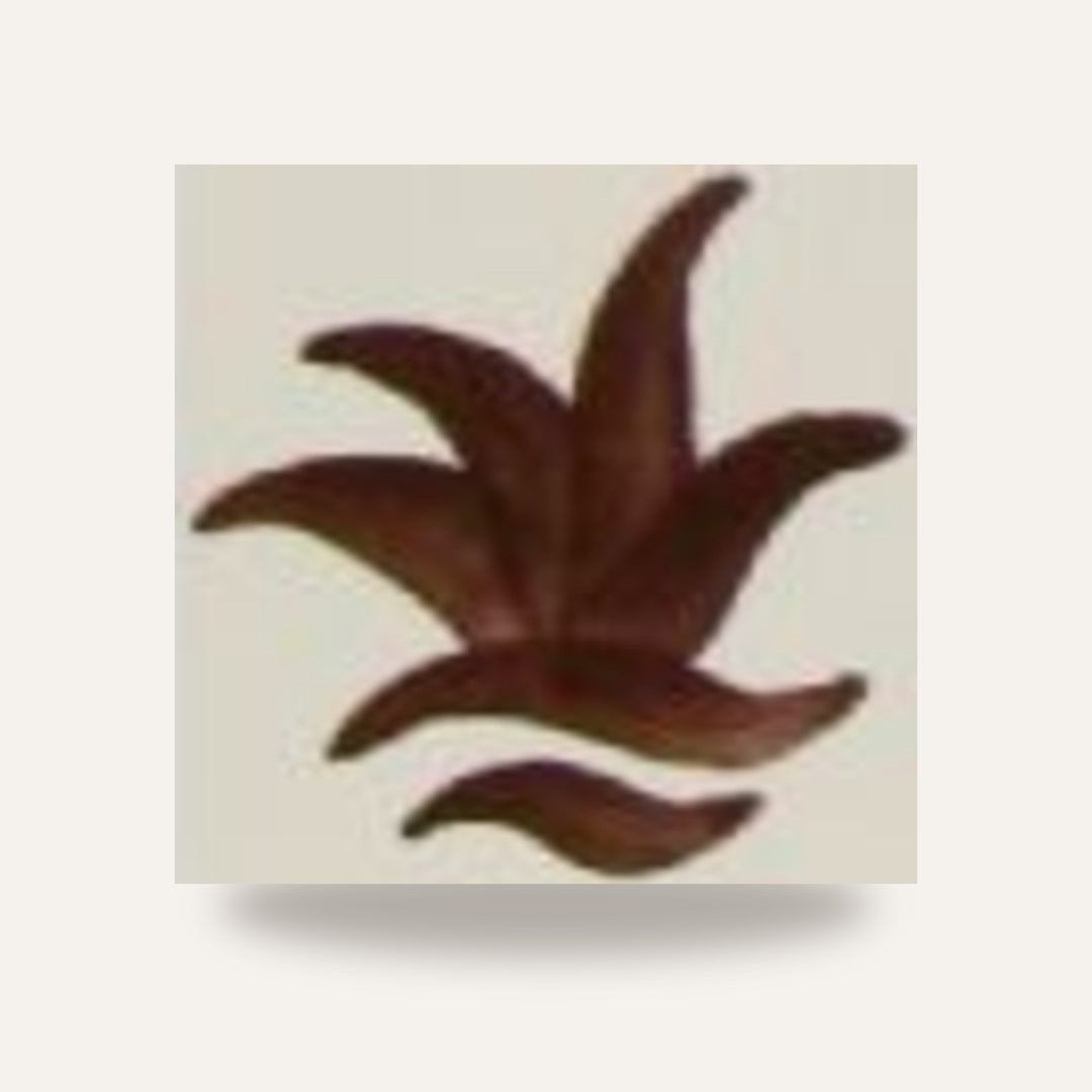 CD 25 CHOCOLATE — amostra cozida
