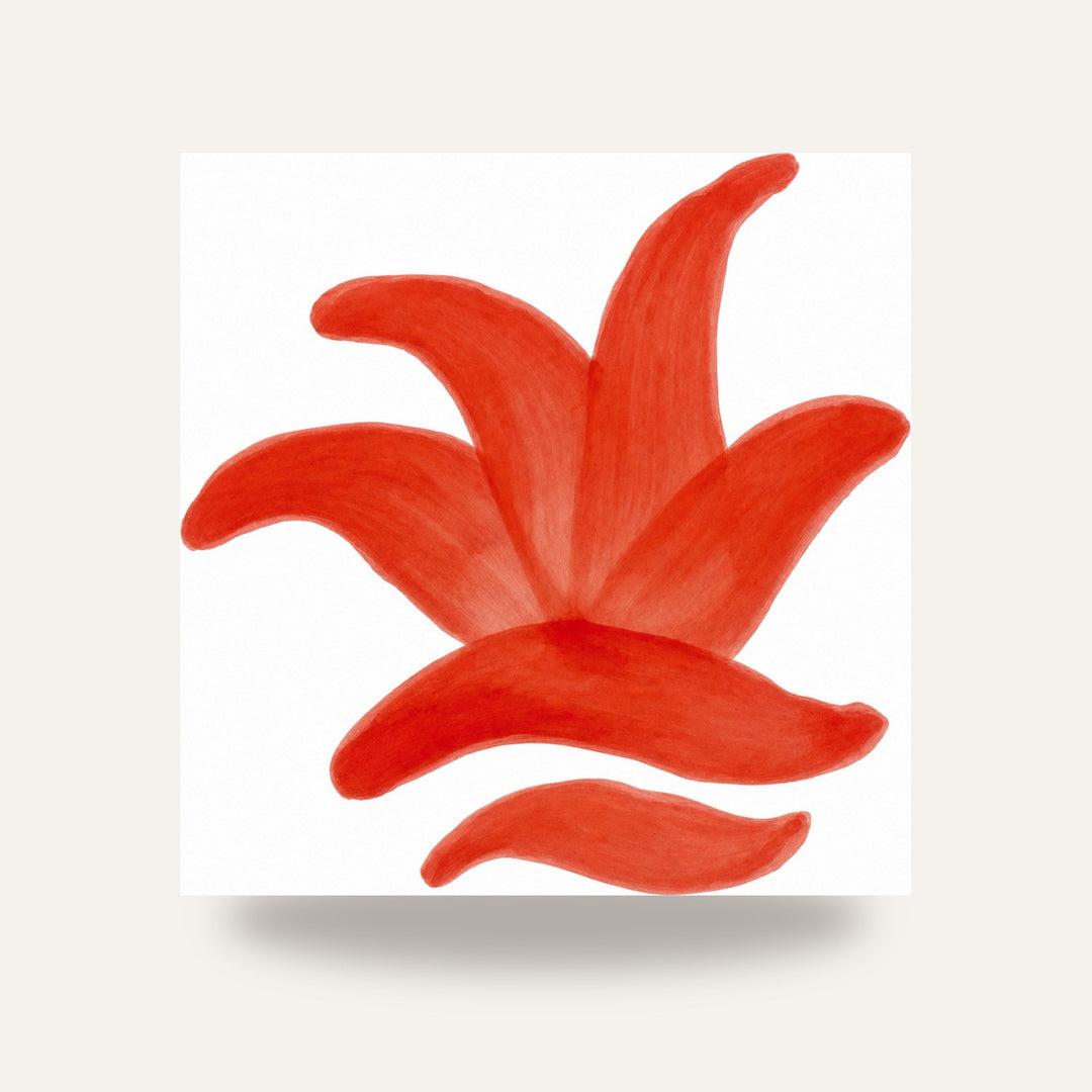 CD 21 VERMELHO