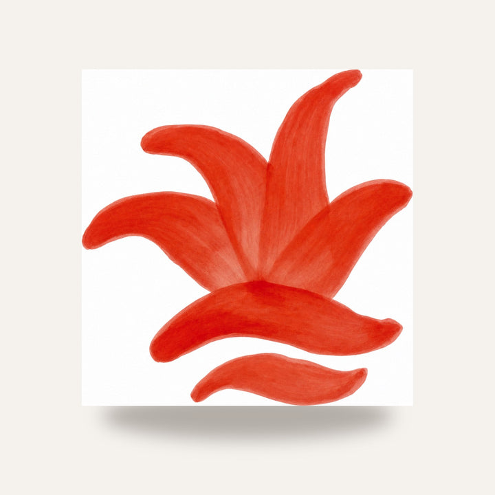 CD 21 VERMELHO