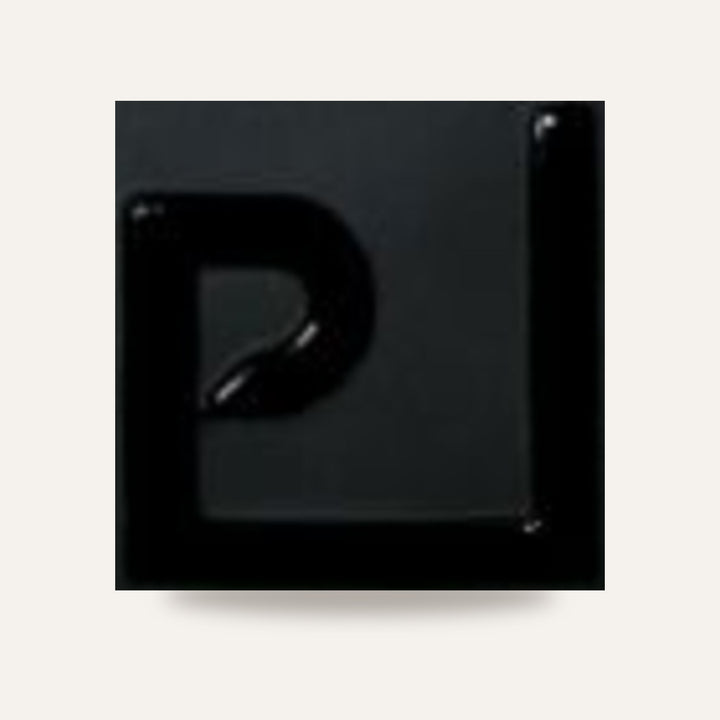ENSP 03 NEGRO — amostra cozida