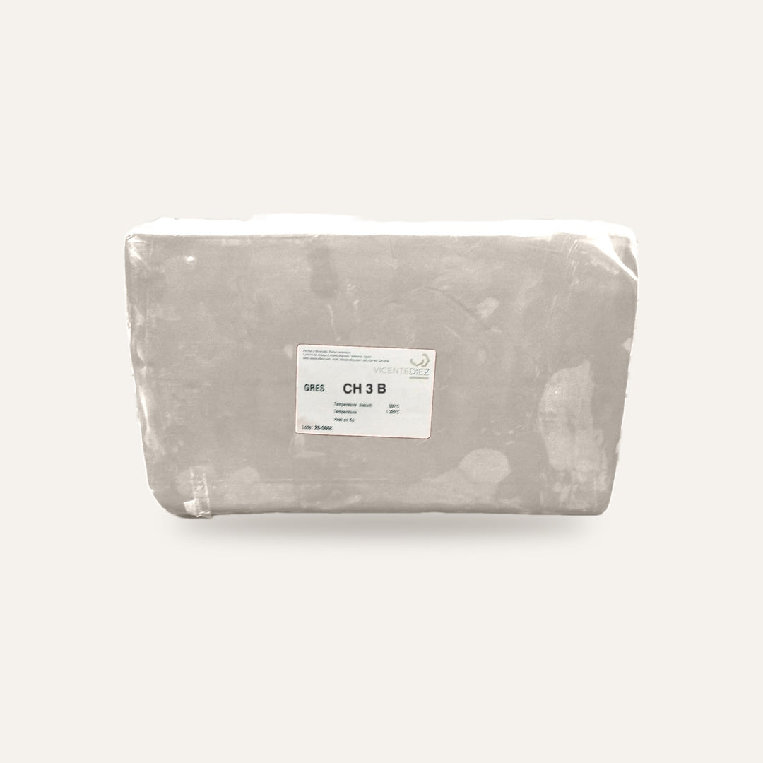 GRES CH 3 B — amostra cozida
