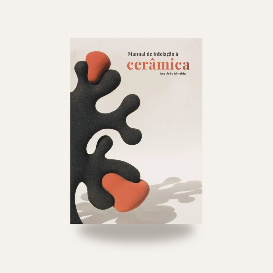 LIVRO MANUAL DE INICIAÇÃO À CERÂMICA — amostra cozida