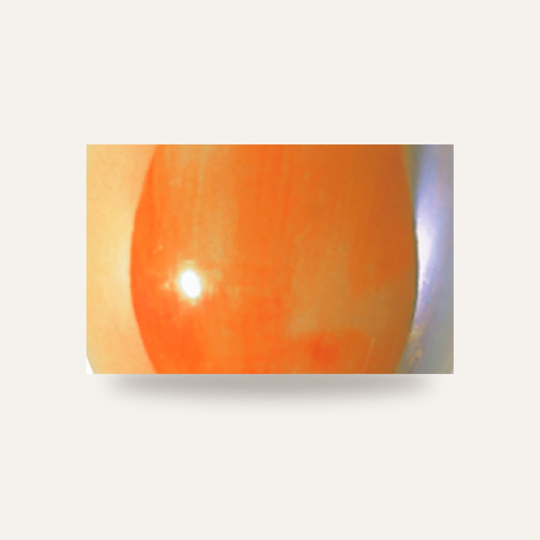 LUSTRE LARANJA — amostra cozida