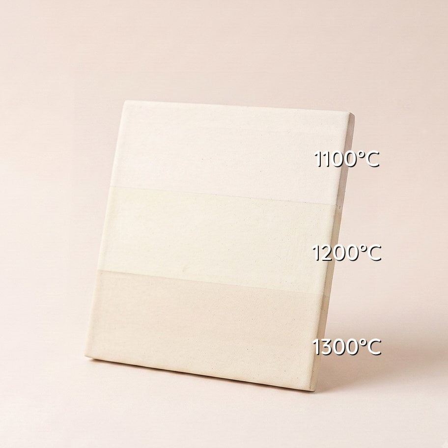 PORCELANA LIMOGES PT 010B PASTA — amostra cozida