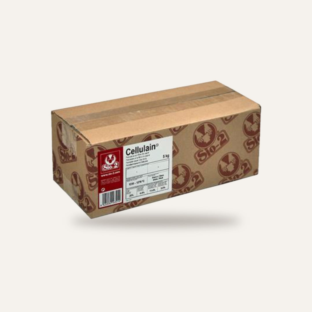 PORCELANA PASTA CELLULAIN FIBRA PAPEL — amostra cozida