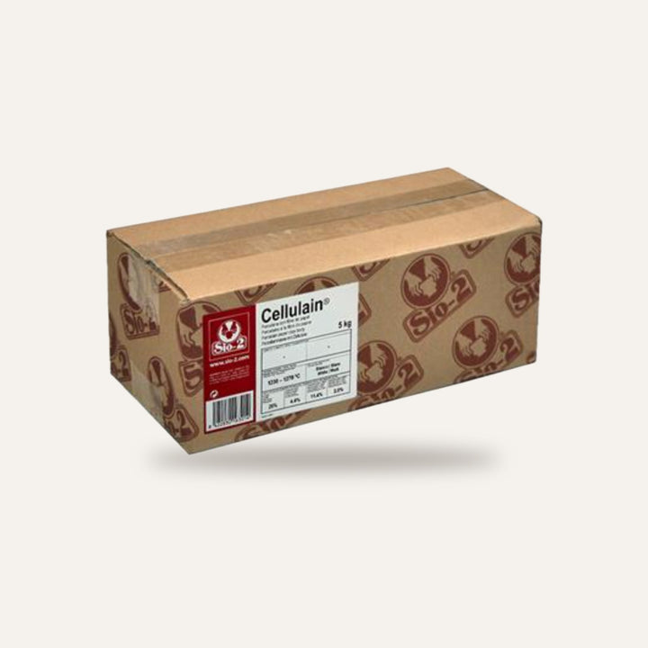PORCELANA PASTA CELLULAIN FIBRA PAPEL — amostra cozida
