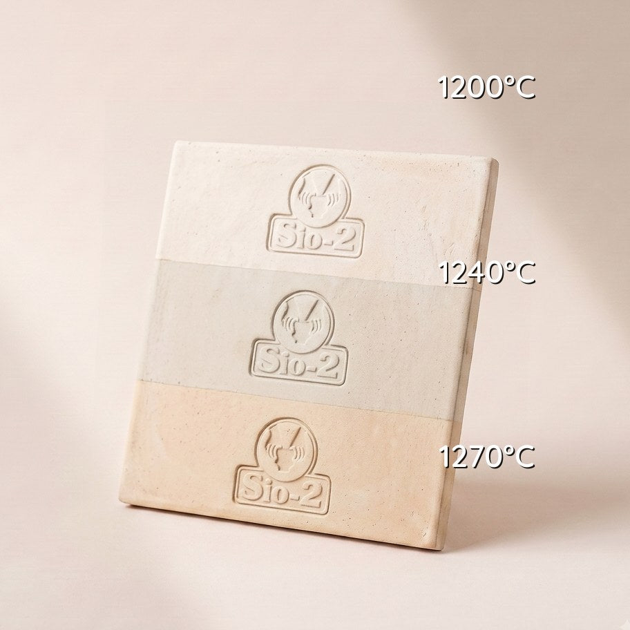 PORCELANA PASTA CELLULAIN FIBRA PAPEL — amostra cozida