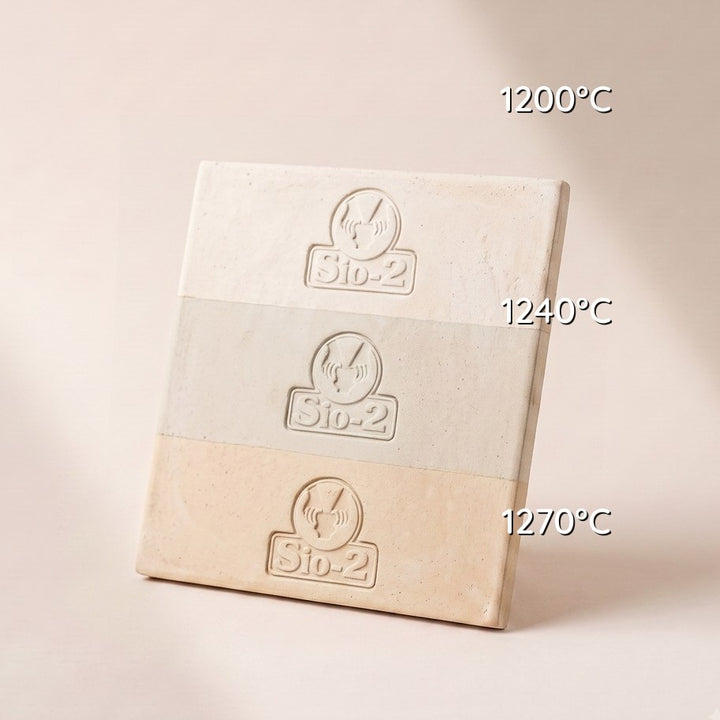 PORCELANA PASTA CELLULAIN FIBRA PAPEL — amostra cozida