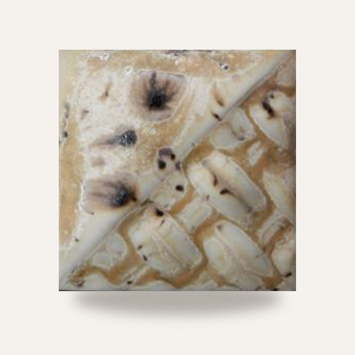 STONEWARE SW-176 SANDSTONE — amostra cozida
